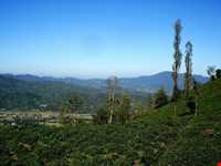 روستای تابستان نشین