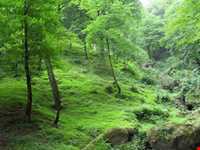 روستای تابستان نشین