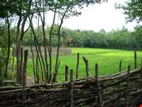 موزه‌ی میراث روستایی گیلان