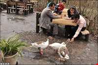 موزه‌ی میراث روستایی گیلان