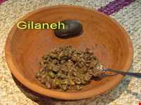 زیتون پرورده