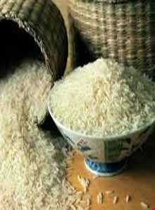 برنج آستانه اشرفیه