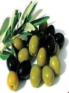 زیتون رودبار