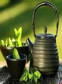 چای لاهیجان