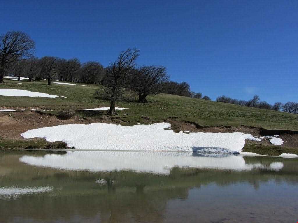 روستای هرزویل