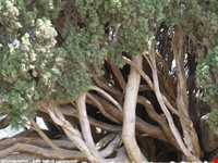 روستای هرزویل