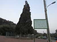 روستای هرزویل