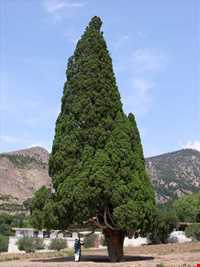 روستای هرزویل