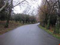 روستای هرزویل