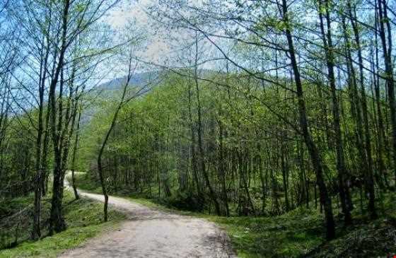 روستای لاویج