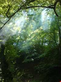 روستای لاویج