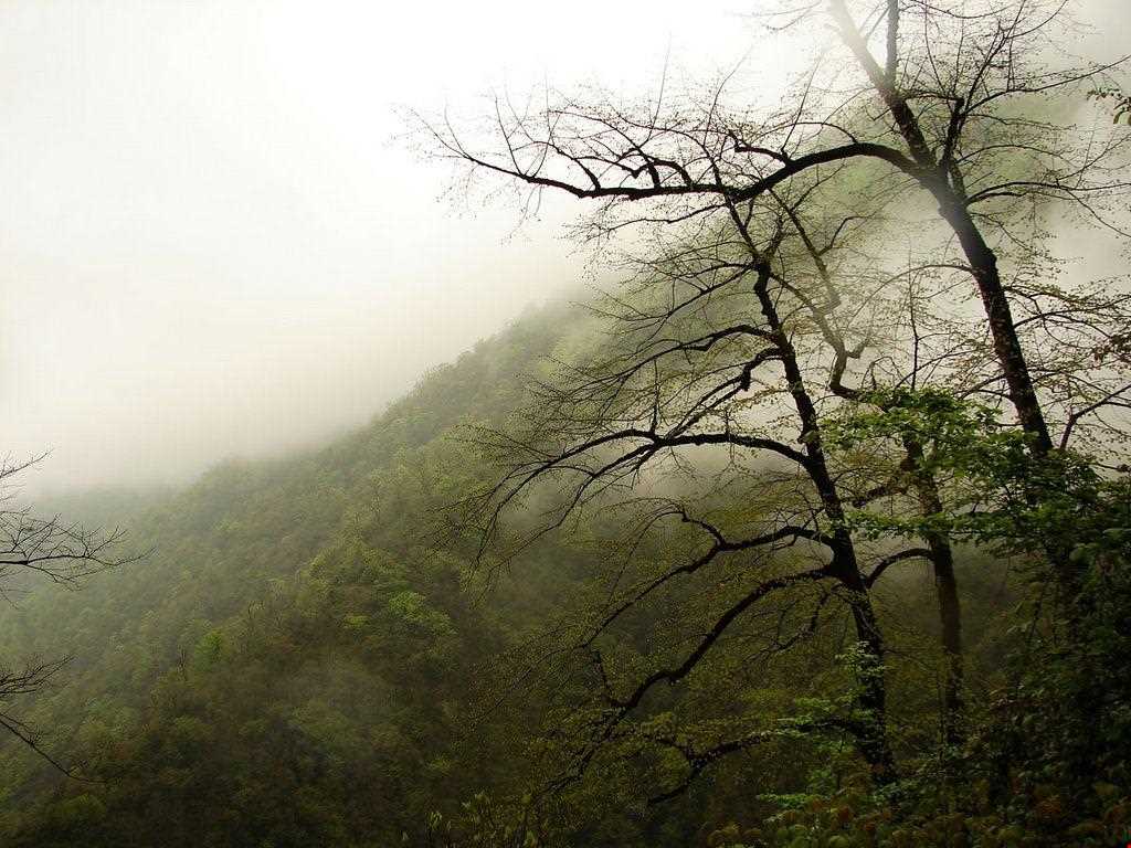 دریاچه الیمالات