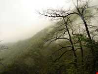 دریاچه الیمالات