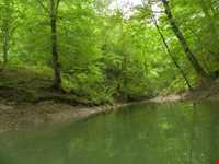 دریاچه الیمالات