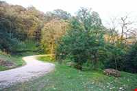 آبشار و جنگل پلنگ دره