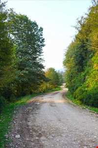 آبشار و جنگل پلنگ دره