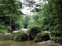 آبشار و جنگل پلنگ دره