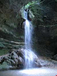 آبشار و جنگل پلنگ دره