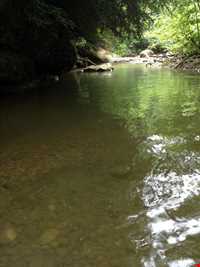 آبشار و جنگل پلنگ دره