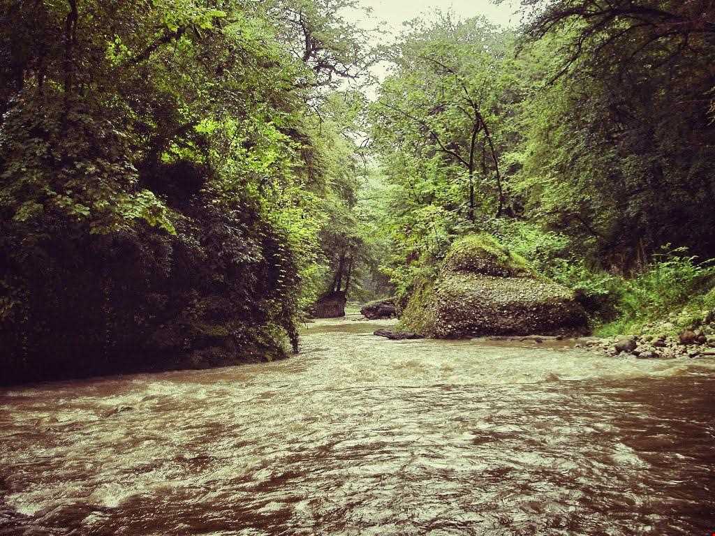 آبشار و جنگل پلنگ دره