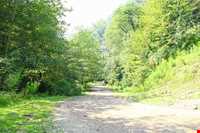 Palang Darreh Forest and waterFall