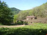 Palang Darreh Forest and waterFall