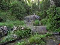 Palang Darreh Forest and waterFall