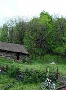 آبشار و جنگل پلنگ دره