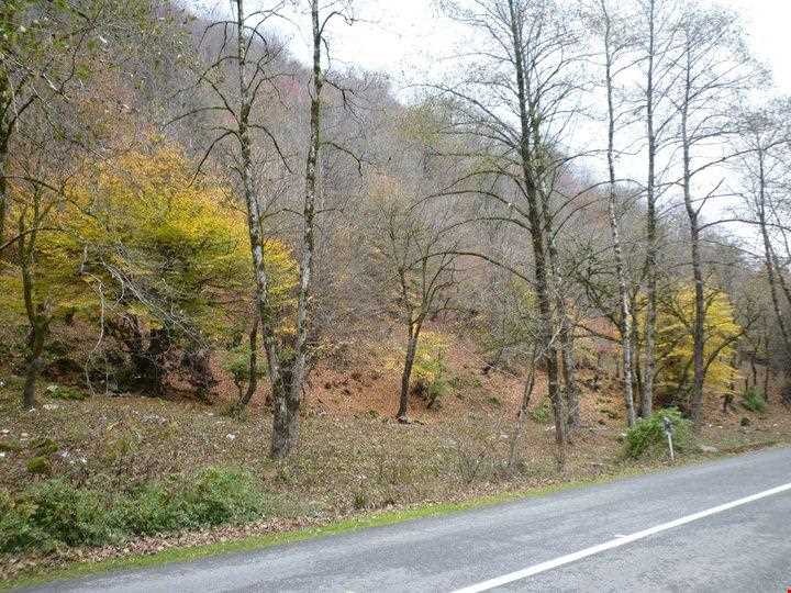 منطقه دو هزار