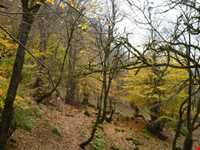 منطقه دو هزار