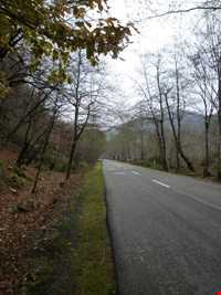 منطقه دو هزار