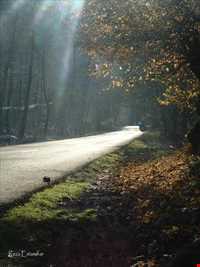 منطقه دو هزار