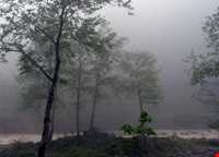 منطقه دو هزار