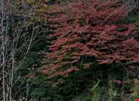 منطقه دو هزار