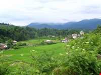 منطقه دو هزار