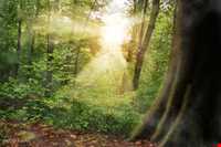 Namak Abrud ( Namakabroud )