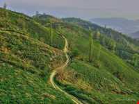 Namak Abrud ( Namakabroud )