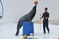 Namak Abrud ( Namakabroud )