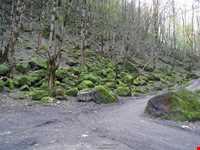 روستای جواهرده