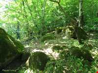 روستای جواهرده