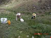 روستای فیلبند