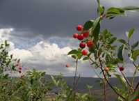 روستای فیلبند