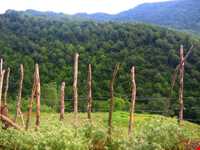 Pajy and Myana village