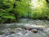 Pajy and Myana village