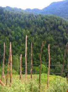 Pajy and Myana village