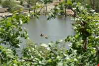 دریاچه شور مست