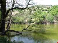 دریاچه شور مست