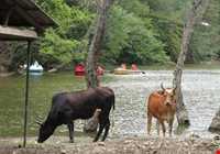 دریاچه شور مست