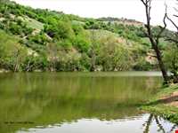 دریاچه شور مست