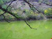 دریاچه شور مست